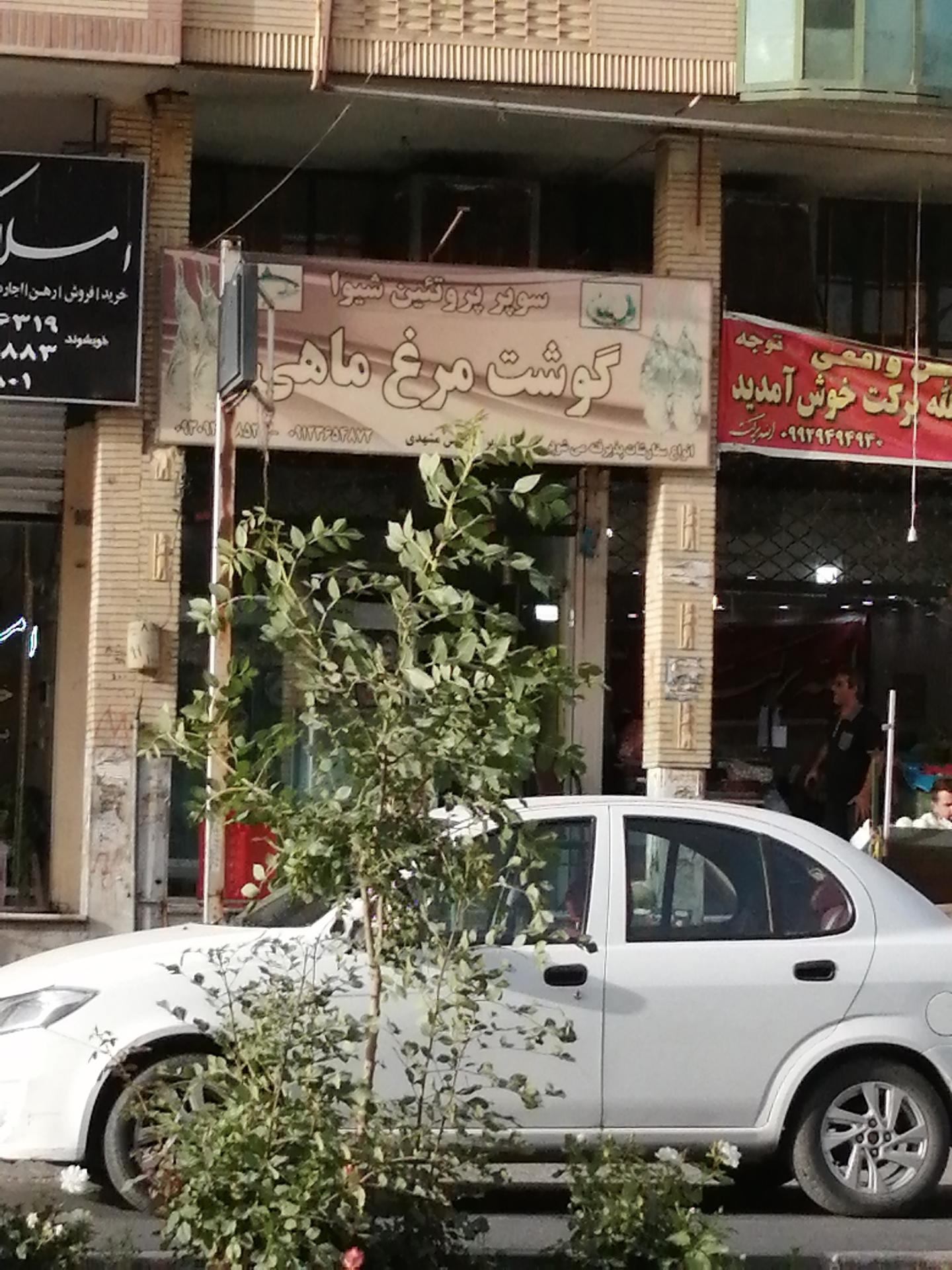 عکس سوپر پروتئینی شیوا