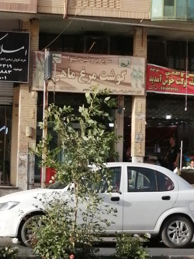 عکس سوپر پروتئینی شیوا