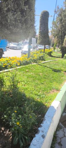 عکس میدان ملاجامی