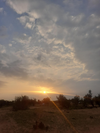 عکس پارک جنگلی بنه گز