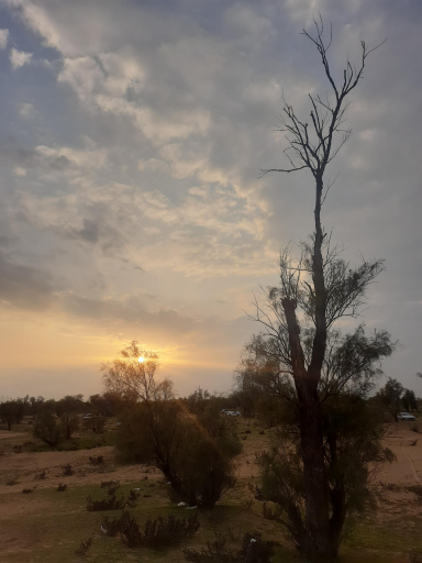 عکس پارک جنگلی بنه گز