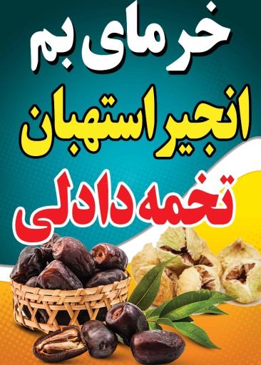 عکس تخمه داغ دادلی