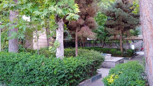 عکس تالار فرهنگیان منطقه 6