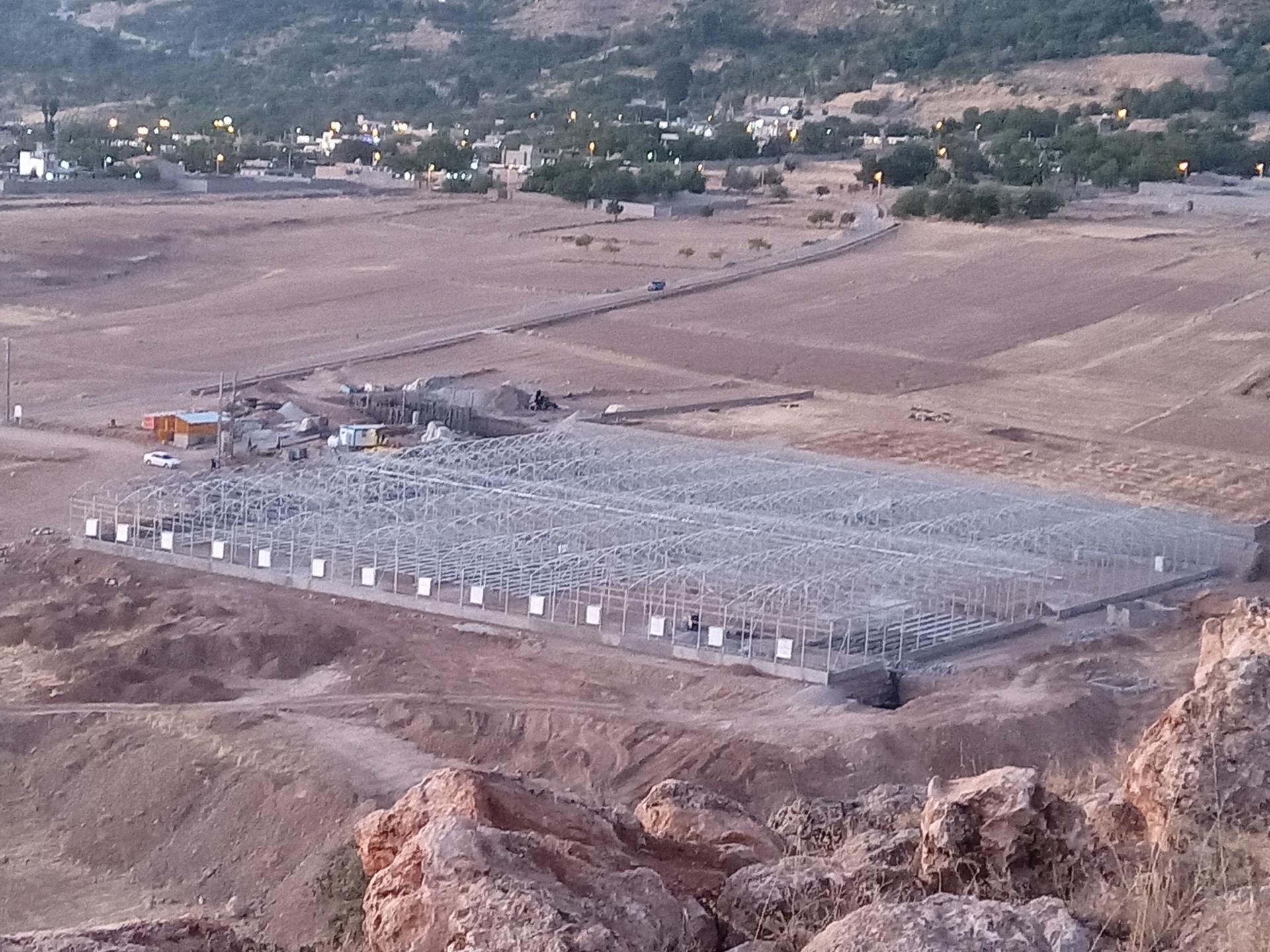 عکس گلخانه گل رز هرمز ناغان (سپهدار سلیمی) 