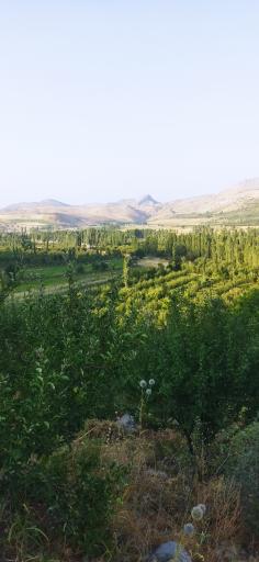 عکس کمهر
