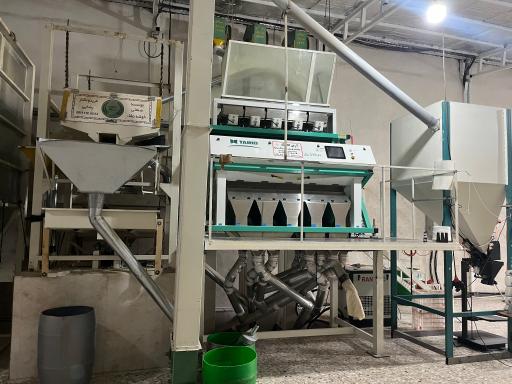 عکس بازرگانی برنج مهراد