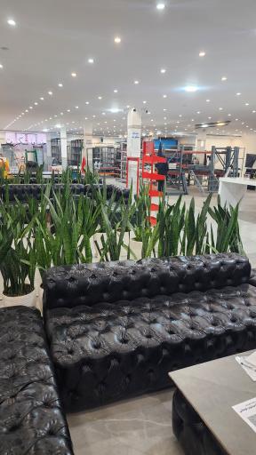 عکس قفسه بندی وکیلی