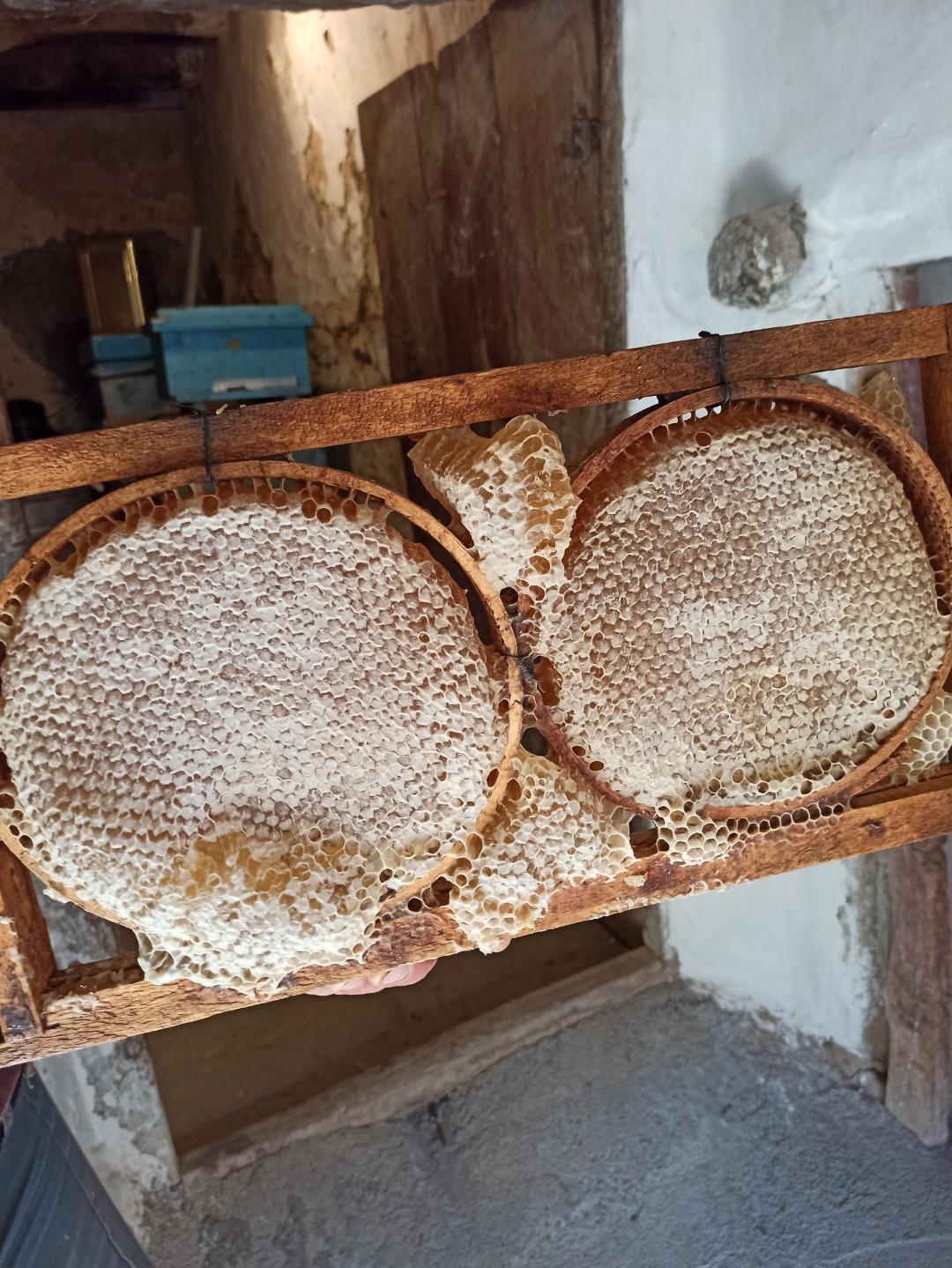 عکس عسل سرا و لبنیاتی یوسف