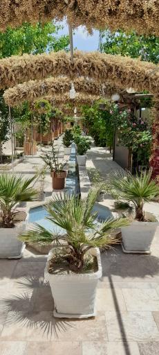 عکس باغ رستوران پرتقال