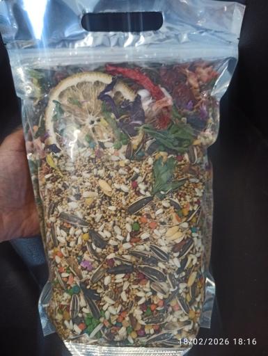 عکس پت شاپ رز