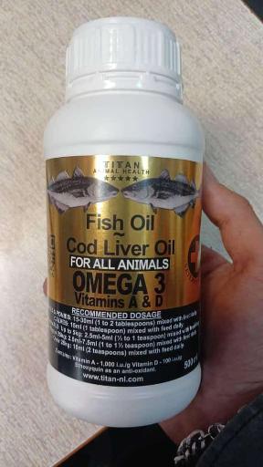 عکس پت شاپ رز