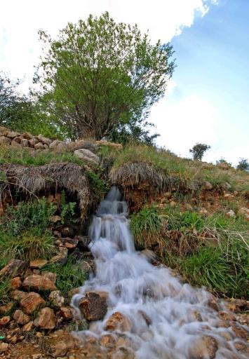 عکس کمهر