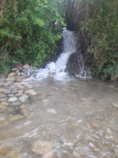 عکس کمهر