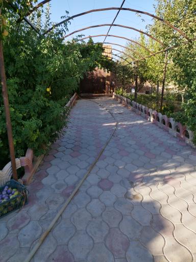 عکس باغ سرچاهی