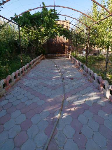 عکس باغ سرچاهی