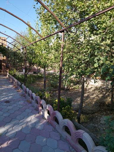 عکس باغ سرچاهی