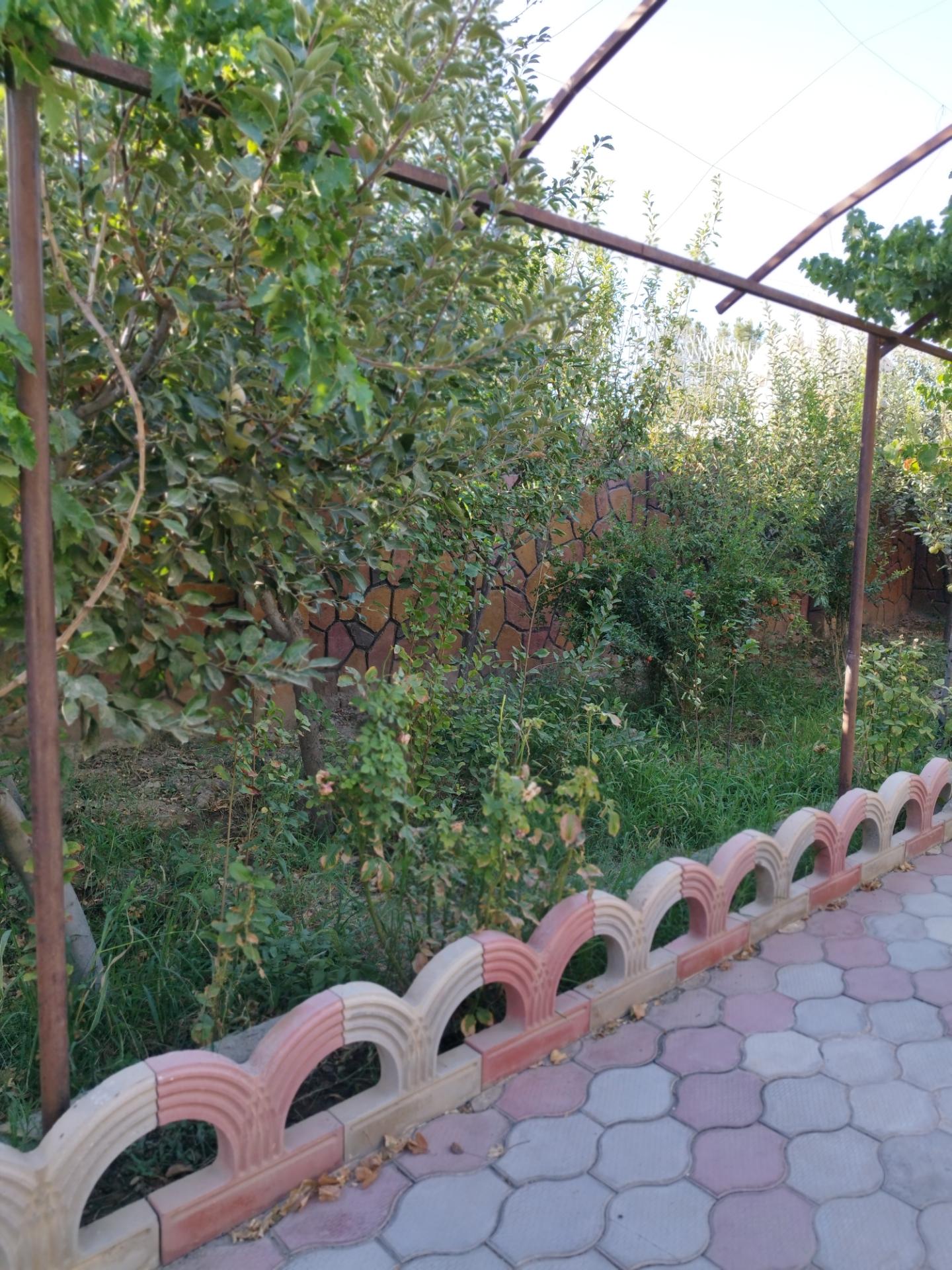 عکس باغ سرچاهی