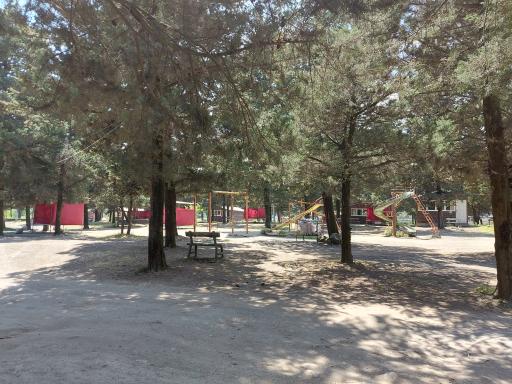 عکس پارک جنگلی شهر چوبر