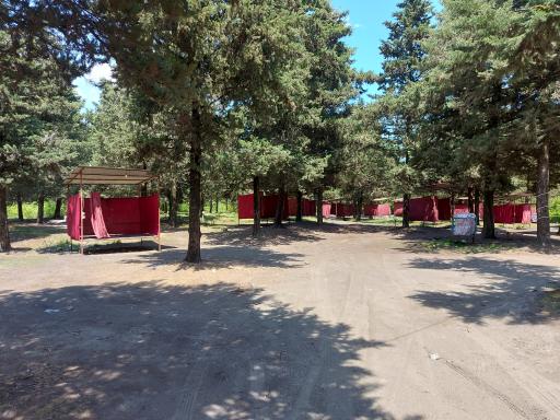 عکس پارک جنگلی شهر چوبر