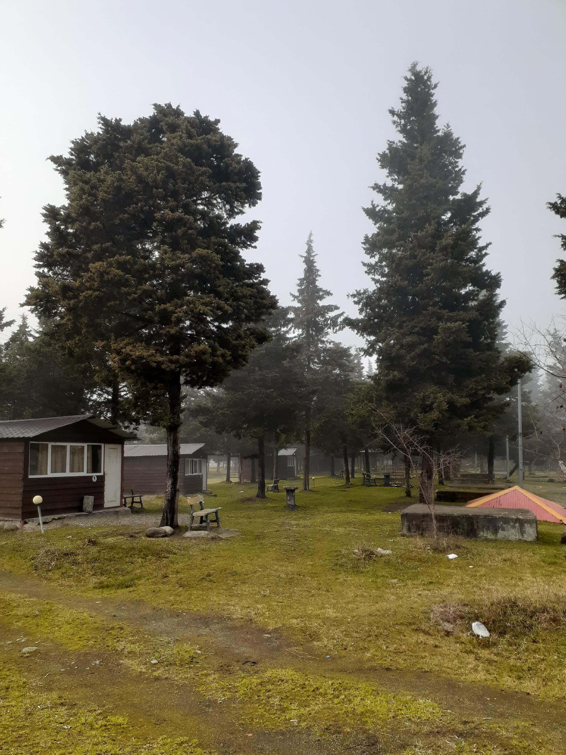 عکس پارک جنگلی شهر چوبر