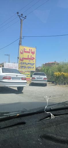 عکس نهالستان  جــلیلی