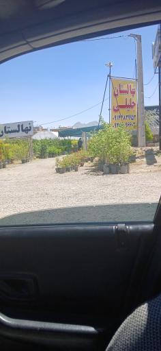 عکس نهالستان  جــلیلی