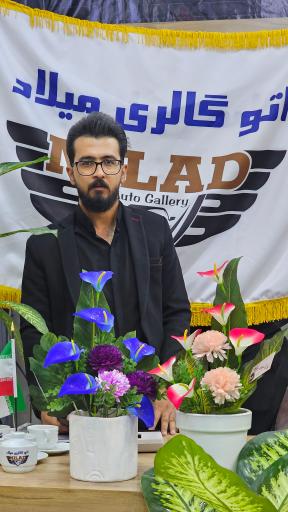 عکس اتوگالری میلاد
