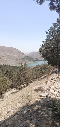 عکس سد لتیان