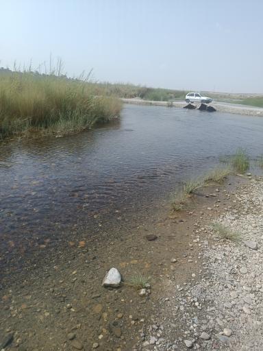 عکس زیارت علی