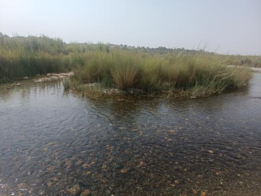 عکس زیارت علی