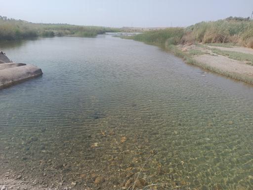 عکس زیارت علی