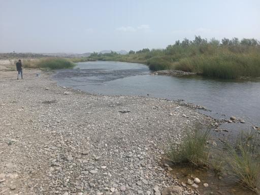 عکس زیارت علی