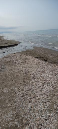 عکس مجتمع ساحلی توسکا