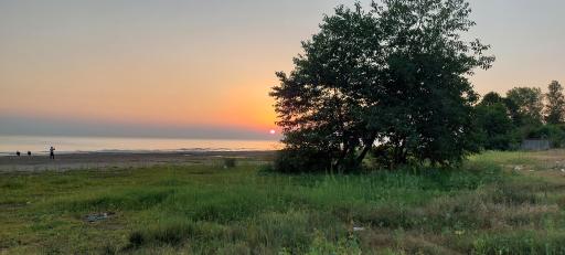 عکس پارک شهید انصاری