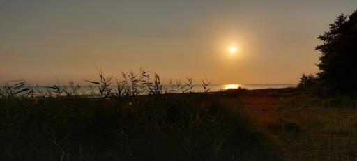 عکس پارک شهید انصاری