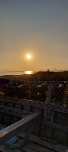 عکس پارک شهید انصاری