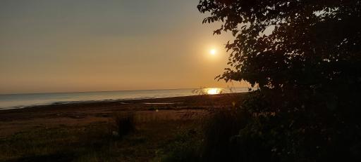 عکس پارک شهید انصاری