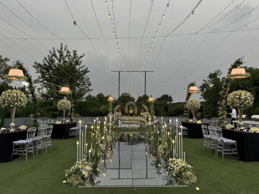 عکس اریکه تات