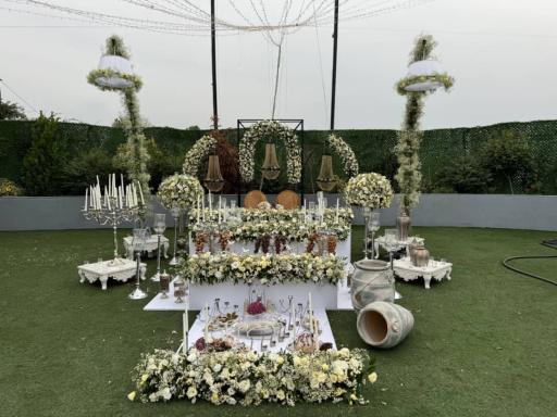 عکس اریکه تات