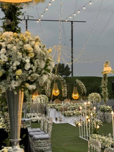 عکس اریکه تات