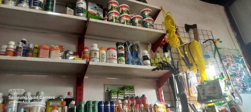 عکس کود و سمپاشی عزیززاده گودل