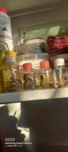 کود و سمپاشی عزیززاده گودل