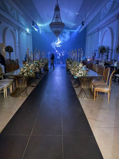 عکس اریکه تات