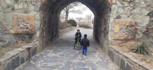 عکس دریاچه مصنوعی باغ وحش اراک