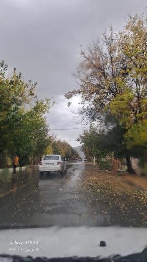 عکس فیلور