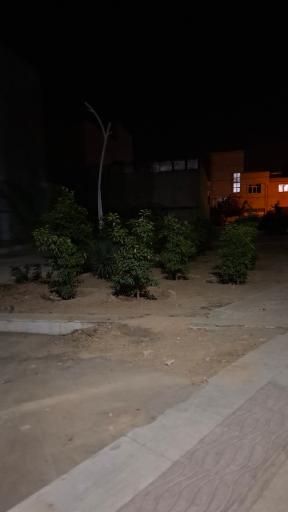 عکس پارک حجاب