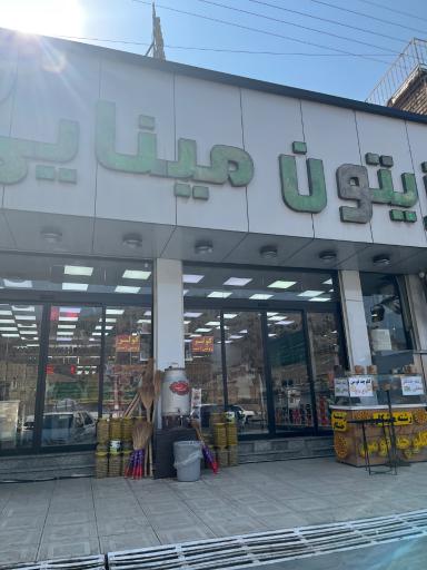 عکس زیتون مینایی
