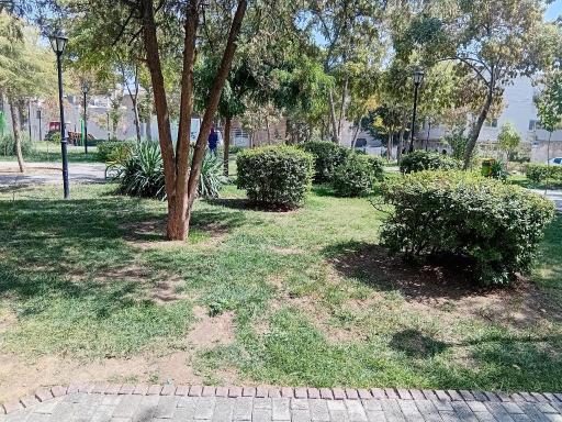 عکس بوستان علوی