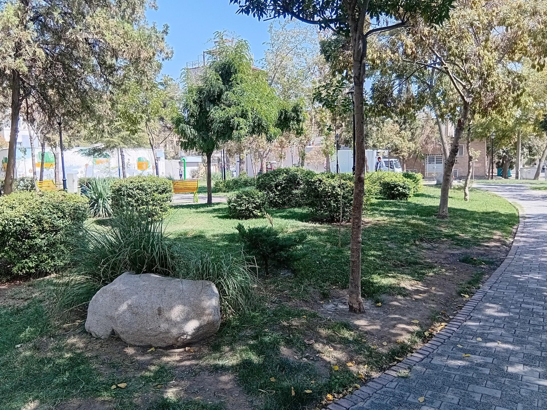 عکس بوستان علوی