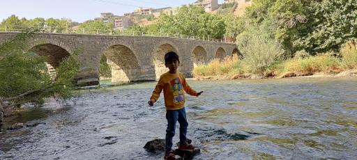 عکس پل سنگی تاریخی هوره